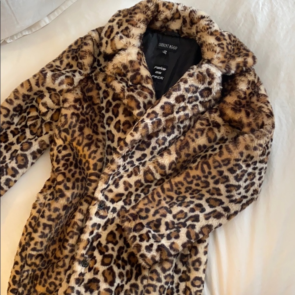 Leopard Coat by Current Mood